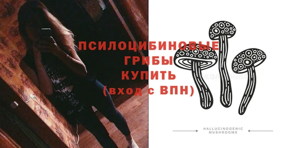 прущие грибы Балахна