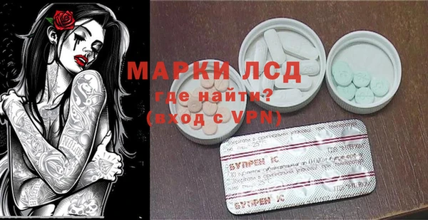 прущие грибы Балахна