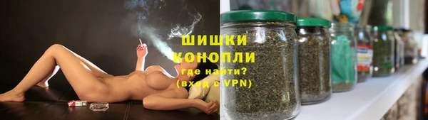 шишки Балабаново