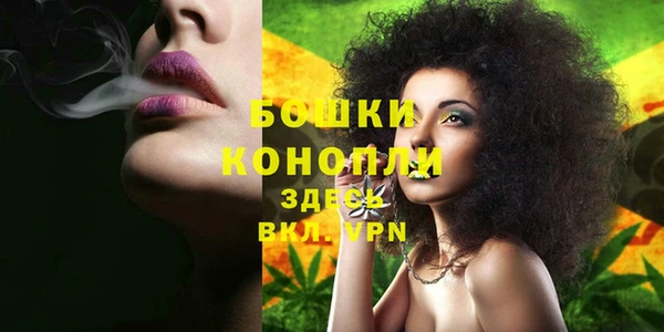 шишки Балабаново