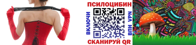 ОМГ ОМГ   дарнет шоп  Кизилюрт  Псилоцибиновые грибы Psilocybine cubensis 